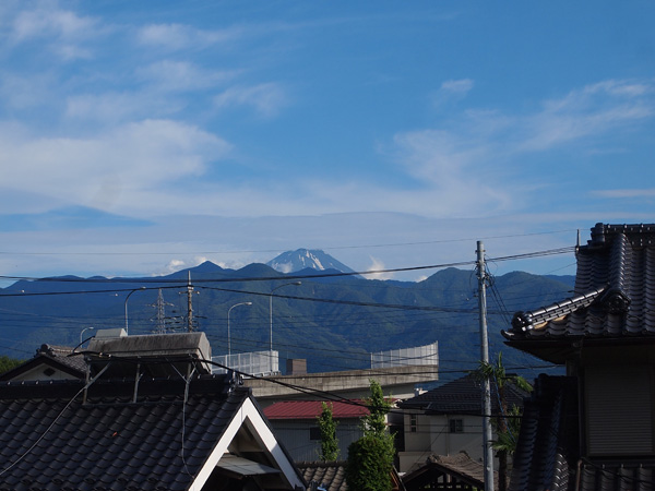 すっかり夏山の富士山