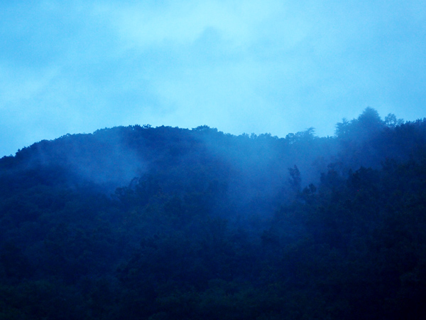 霧で覆われる山