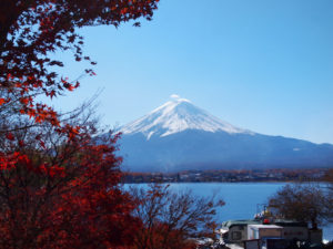 富士河口湖紅葉まつり　紅葉と富士山