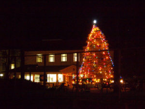 山梨英和大学クリスマスツリー