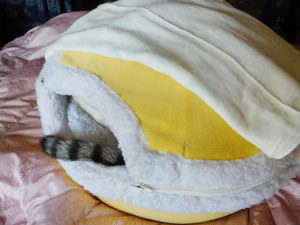 どら焼き型猫ベッド