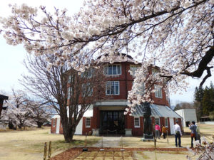 清春美術館と桜
